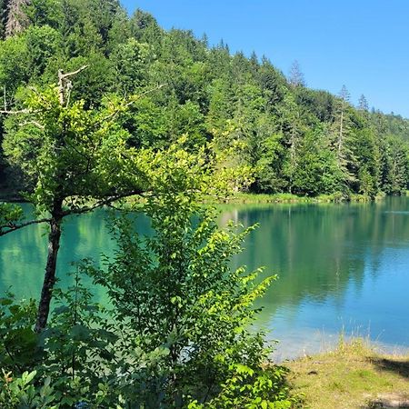 B&B Plitvica Villa Prica Plitvička Jezera Buitenkant foto