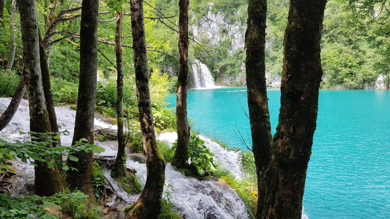 B&B Plitvica Villa Prica Plitvička Jezera Buitenkant foto