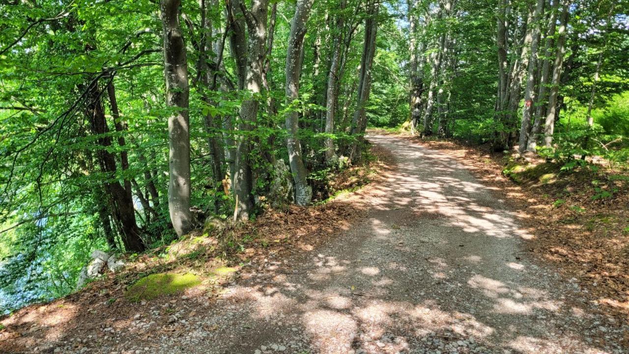 B&B Plitvica Villa Prica Plitvička Jezera Buitenkant foto