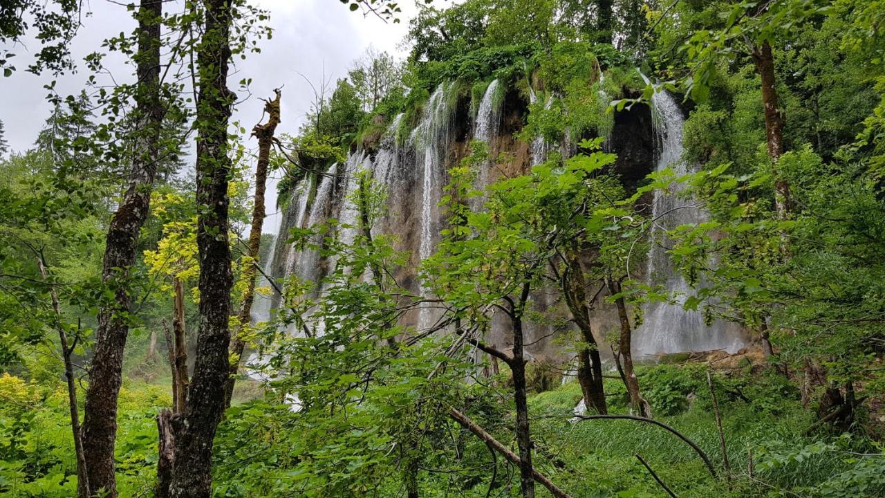 B&B Plitvica Villa Prica Plitvička Jezera Buitenkant foto