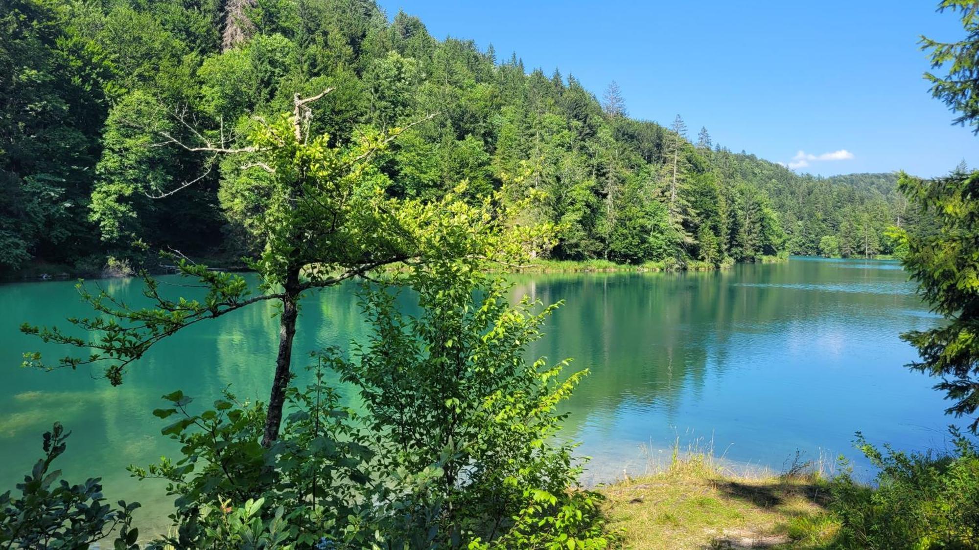 B&B Plitvica Villa Prica Plitvička Jezera Buitenkant foto